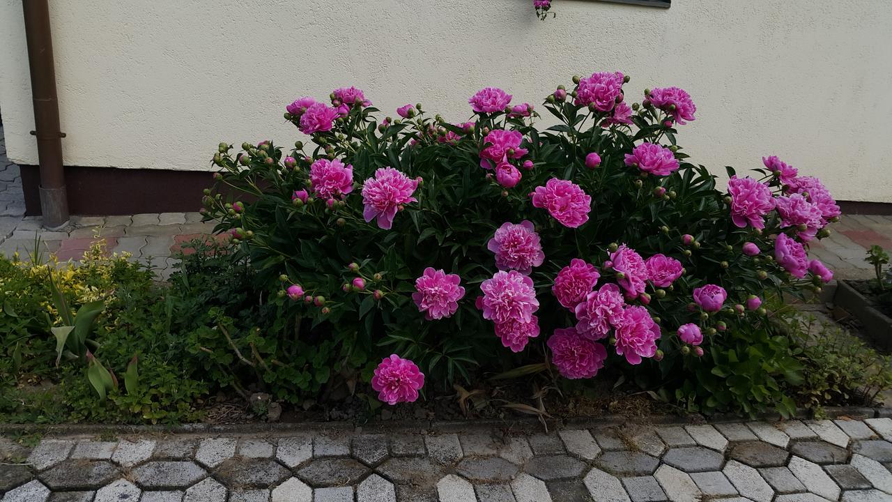 Marietta Apartman ヘーヴィーズ エクステリア 写真